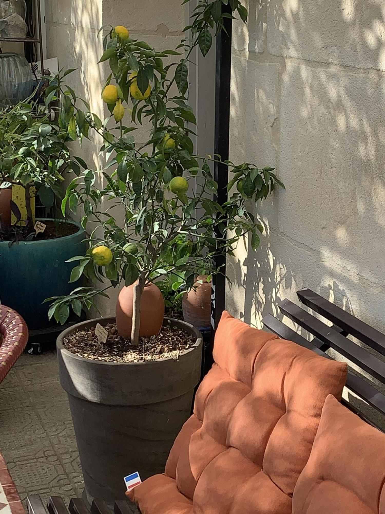Chambre D'Hotes Lo Componairo Pouzols Εξωτερικό φωτογραφία